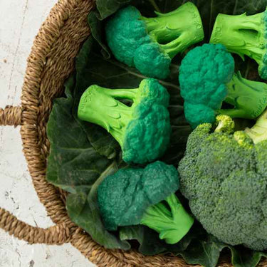 Brucy the Broccoli